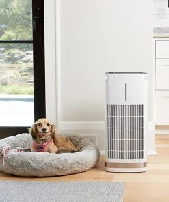 Outlet ???? Cuisinart PuRXium Free Standing Air Purifier | Large Room White ???? 11 Outlet ???? Cuisinart PuRXium Free Standing Air Purifier | Large Room White ???? -Cuisinart Shop 71psvfctues. ac sl1500