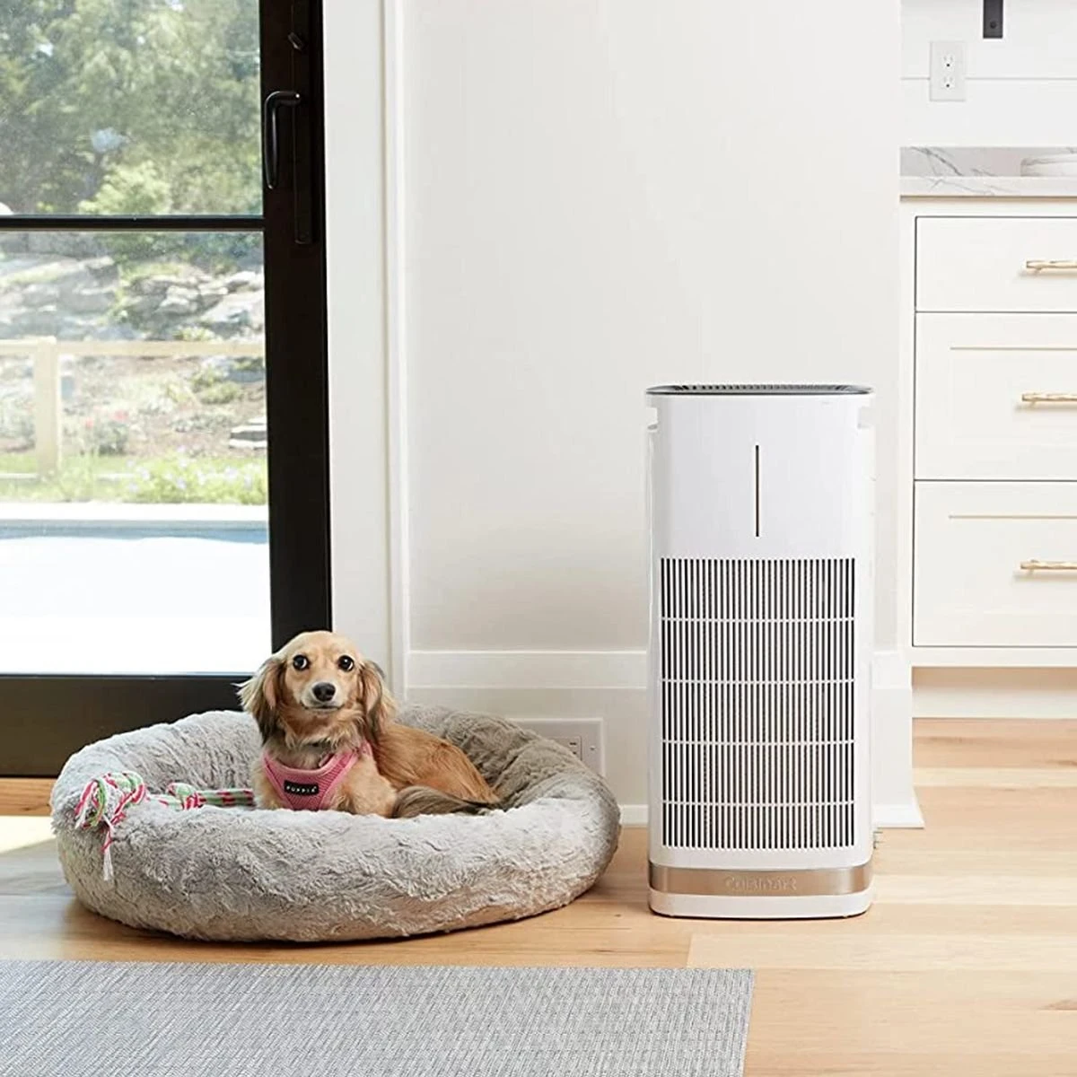 Outlet ???? Cuisinart PuRXium Free Standing Air Purifier | Large Room White ???? 5 Outlet ???? Cuisinart PuRXium Free Standing Air Purifier | Large Room White ???? - Image 5