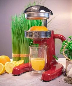 Cheapest ???? Frieling Positano Citrus Press | Red Red ???? -Cuisinart Shop 71raftakt4l. ac sl1500