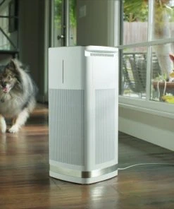 Outlet ???? Cuisinart PuRXium Free Standing Air Purifier | Large Room White ???? 13 Outlet ???? Cuisinart PuRXium Free Standing Air Purifier | Large Room White ???? -Cuisinart Shop maxresdefault 48