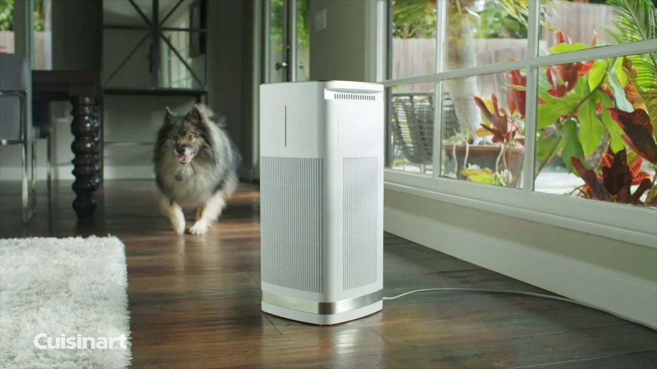 Outlet ???? Cuisinart PuRXium Free Standing Air Purifier | Large Room White ???? 7 Outlet ???? Cuisinart PuRXium Free Standing Air Purifier | Large Room White ???? - Image 7